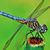 Sally Hight's profile image