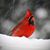 Peggy Mortimer's profile image