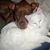 Robin Borden Rosequist's profile image