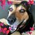 Laura Obal's profile image