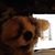 Deeana Colello's profile image