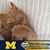 Alice McCray's profile image