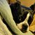 Rick Kirner's profile image