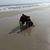 Gary Sikes Sr.'s profile image