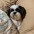Wendy Backos's profile image