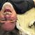 Jeff Trabucco's profile image