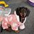 Terri Coyle-Smith's profile image