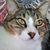 Johnna Ann Alberthal's profile image