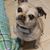 Melissa Ann Hargis's profile image