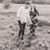 Ashleigh Koopmans's profile image