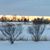 Julie Lattal's profile image