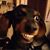 Dan Bernico's profile image