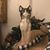 Julie Speight Harty's profile image