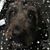 Brad Joyce's profile image