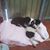 Mayca Garcia's profile image