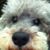 casey51102's profile image