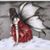 Christine Murphy's profile image