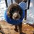 Angela Gagne Hannah's profile image