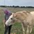 Laurie Angstadt's profile image