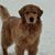 Sandra Reeves's profile image