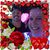 Darlene Alva Cook's profile image