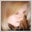 Amber Moody's profile image