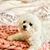 May Chan's profile image