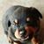 James Bigbee's profile image