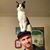 Vinny Martin's profile image