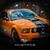 Adrian Holzer's profile image