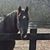 Kelly Wagstaff Owen's profile image