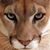Michael Morris Sr.'s profile image