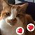 Annlouise Reitz's profile image