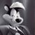 Jamie Ray Gragg's profile image