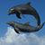 Dawn Dillenbeck-Cramer's profile image