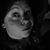 Thea VanHalsema Brophy's profile image