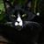 Sam N Dawn Villagrana's profile image