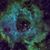 Orlando Rodriguez Cosme's profile image