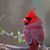 Linda Witte's profile image