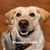 Robert Rabin's profile image