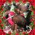 Tanessa LuvinRosaleecampbell Green's profile image