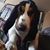 Patty Beckley's profile image