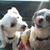 Kimberly Schultz's profile image