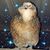 Alicia R McGuire's profile image