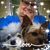Jodi Gollnick's profile image