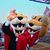 Jeff Austad's profile image