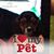 Deneene Noland's profile image
