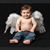 Liz Eckhardt Nierman's profile image