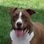Sue Baty-Tyrrell's profile image