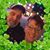 Tina Gray Machosky's profile image